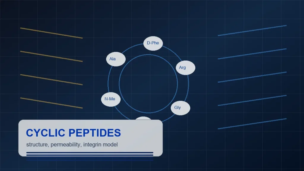 Cyclic Peptide Design: N-Methylation, Integrin Models, and Availability Barriers - Adria research article image