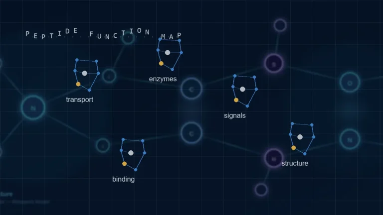 What Peptides Do in Biology: Transport, Signaling, Enzymes, and Structure - Adria research article image