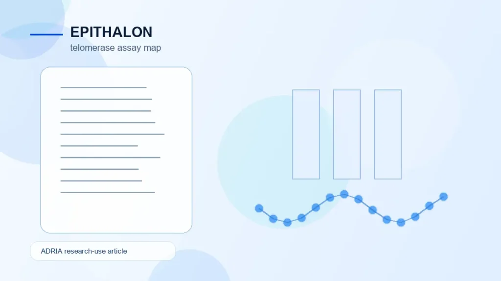 Epithalon in Research: AEDG, Telomerase Models, and Replication Questions - Adria research article image